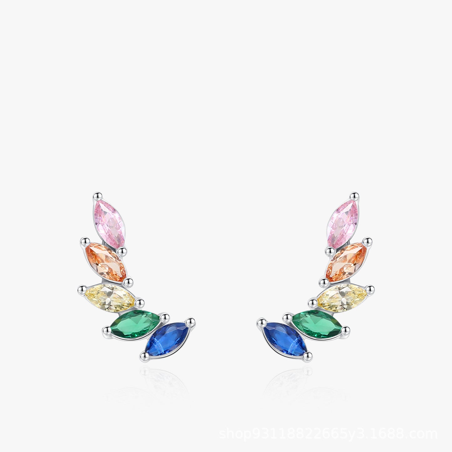 Rainbow Wings Earrings