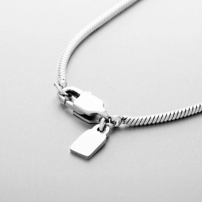 Simple Cold Style Men's Snake Bone Necklace Square Chain Ornament